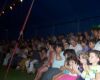 Festival-01.jpg